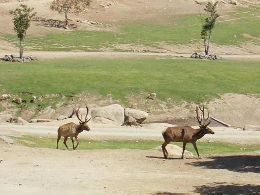 Wildlife Conservation and Nature Sanctuaries in North Malabar